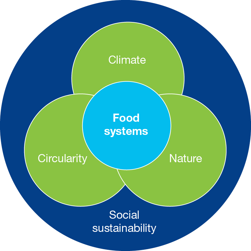 tpsustain_circlemodel