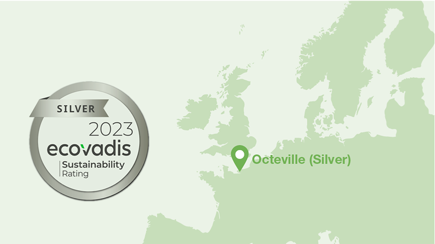 illustration_ecovadis_2023_silver