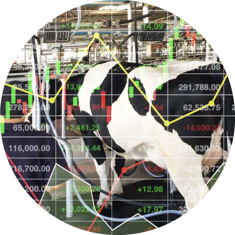 shutterstock_1207662847