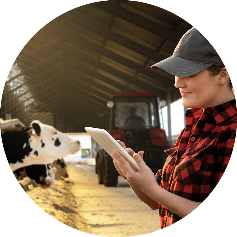 shutterstock_2029227455